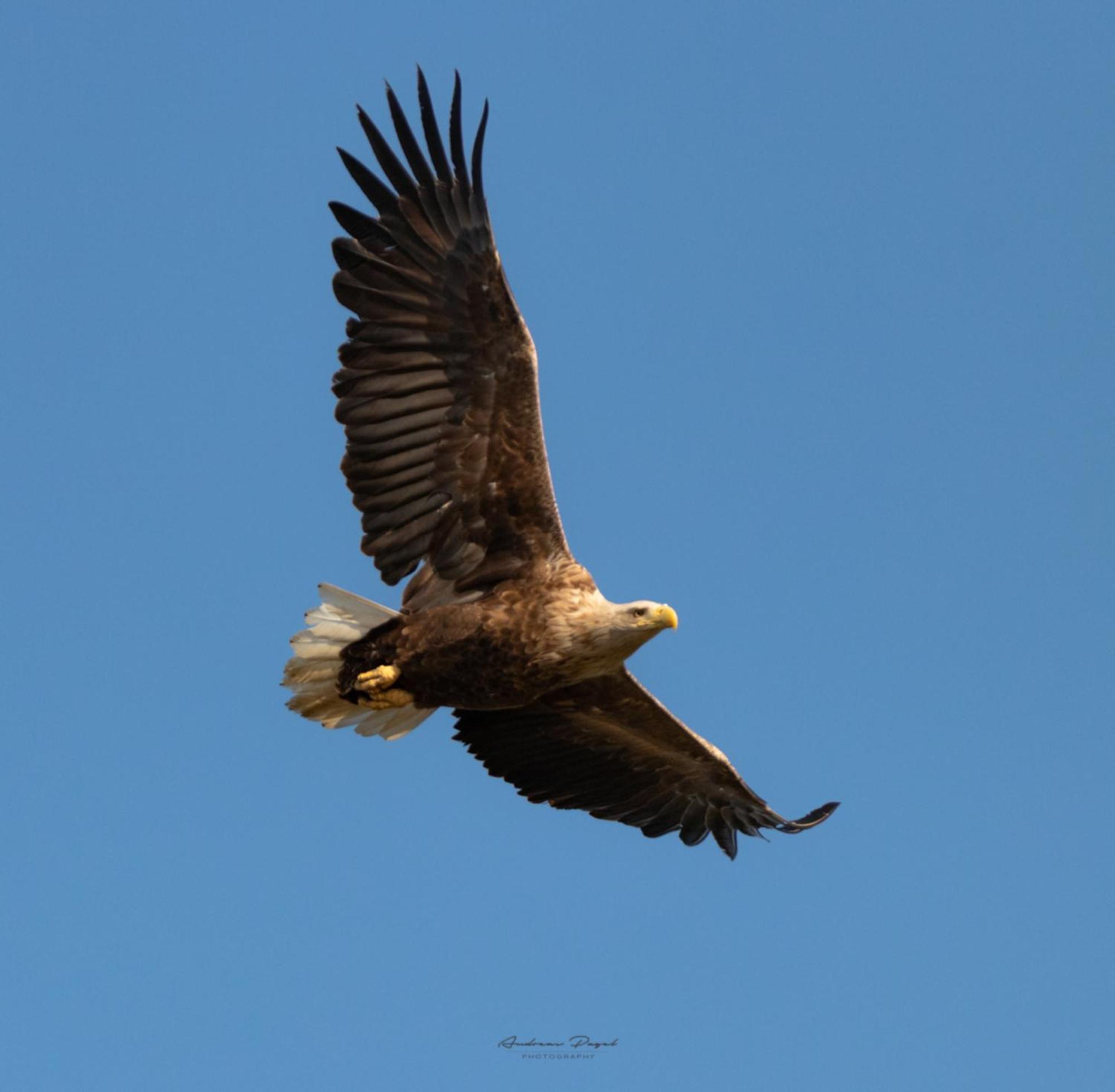 Fewo Seeadler - Heuser Prerow Esterno foto